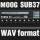 Moog Sub 37 Samples Wav Format Sounds