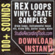 vinyl_samples_rex_wav_loops
